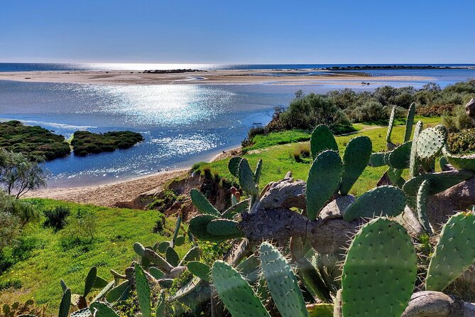 The Essential Algarve Relocation Tour! - Lunch and Entry Fees Included