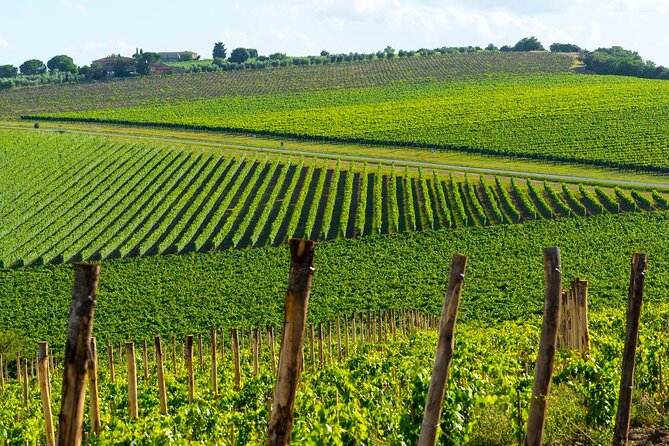 The Grand Wine Tour With Sommelier – 2 Wineries With Chianti & Supertuscan - Cancellation Policy and Booking Details