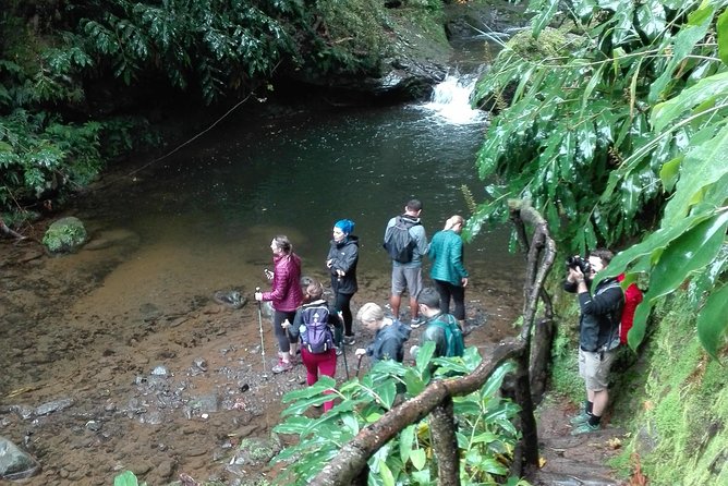 The Great Waterfalls Hiking Tour - Positive Customer Reviews