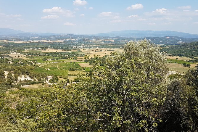 The Lavender Country - Private Tour With a Local Guide - Visiting Pont Du Gard