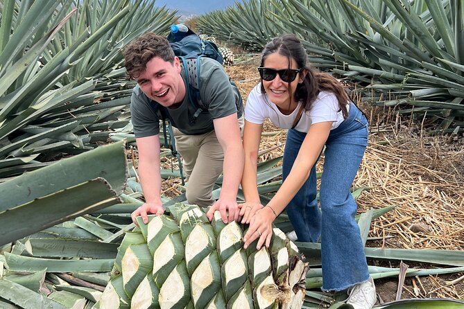 The Mezcal Journey - Meeting Point and Accessibility