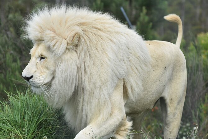 The Private Wildlife Tour - Tour Highlights