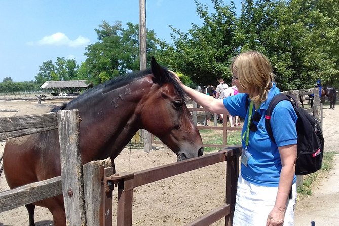 The Puszta Horse Show - Customer Feedback
