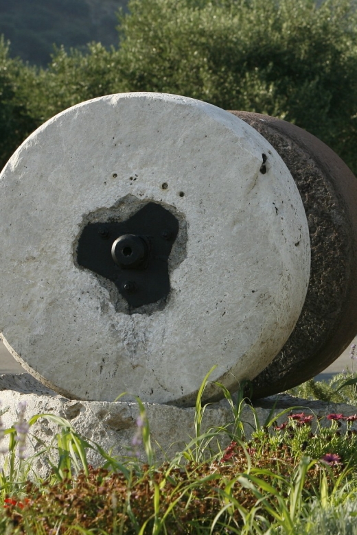 The Terra Creta Olive Oil Experience Tour - Tour Highlights