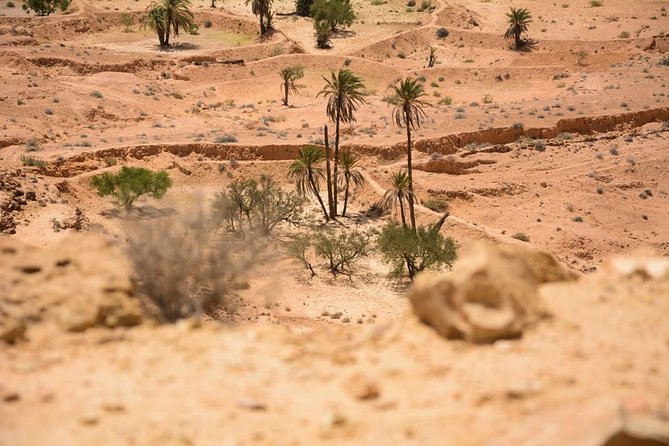 The Three Desert and Mountain Oases - Pricing and Booking