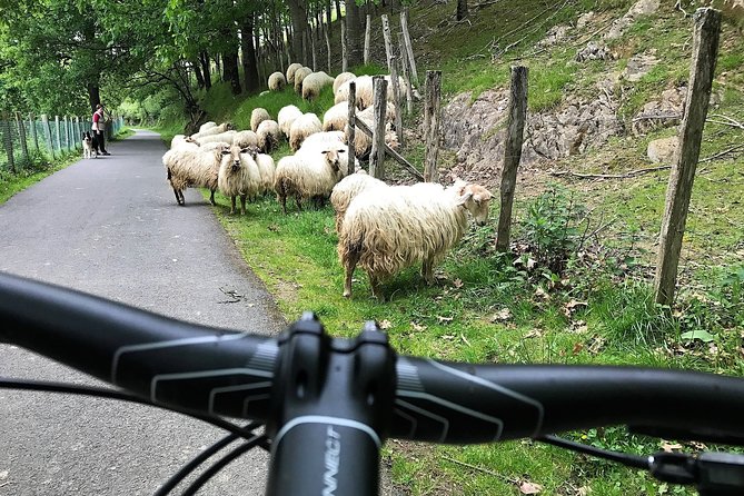 The Train Track Trail Mountain Bike Ride - Private Experience - Premium Mountain Bike Equipment