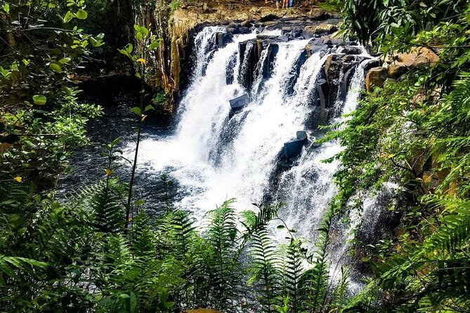 The Vanilla Nature Park - Customer Feedback and Reviews