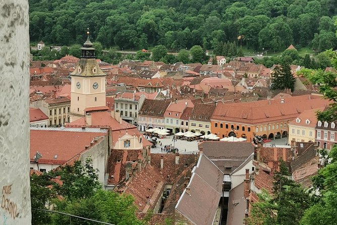Things to Do, Transylvania & Draculas Castle Tour in One Day! - Booking and Reservations