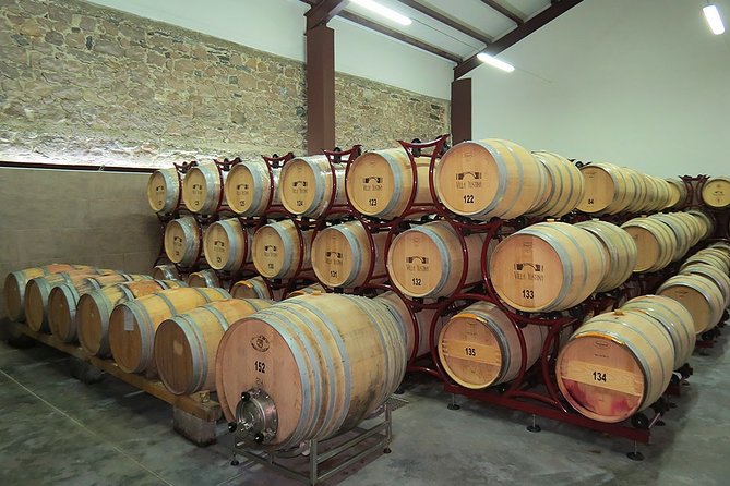 Thracian Valley Wine Tasting - Private Day Tour From Plovdiv - Unique Wine-Making Processes