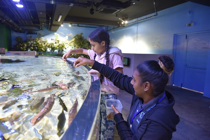 Ticket to the Largest Oceanarium of the Mascarene Islands - Included Services