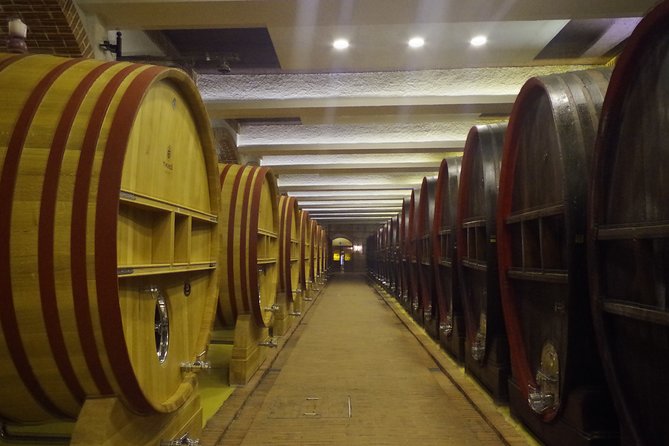 Tikves Winery Private Wine Tour From Skopje - Reviews and Traveler Feedback