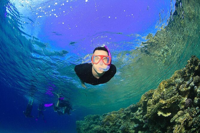 Tiran Island Snorkeling Experience by Yacht Sharm El Sheikh - Customer Reviews