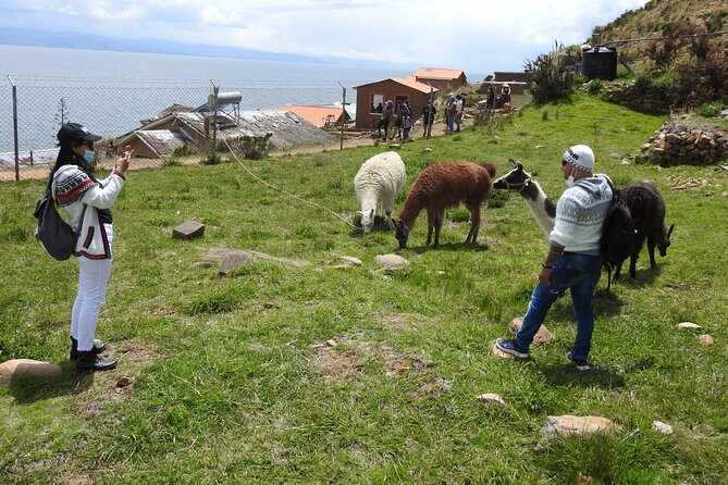 Titicaca Lake & Sun Island – 2 Days Tour – English Speaking Guide - Questions About Your Stay