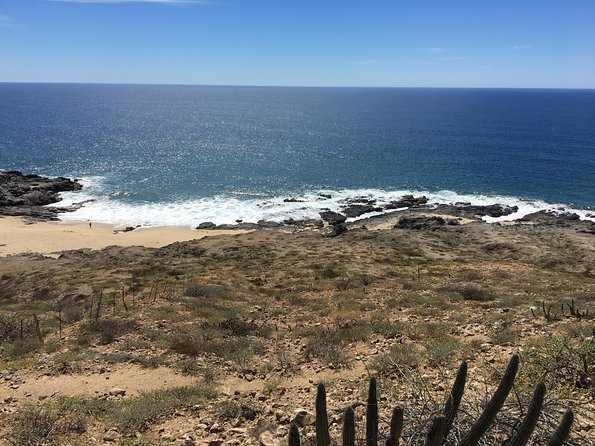Todos Santos Day Trip From Cabo San Lucas - Traveler Feedback and Experiences
