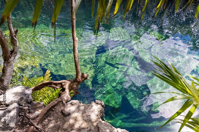Tour 4 Cenotes Casa Tortuga Tulum. Food + Zipline. Includes Pickup. - Health and Accessibility Considerations