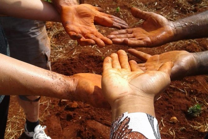 Tour a Jamaican Farm - Reviews