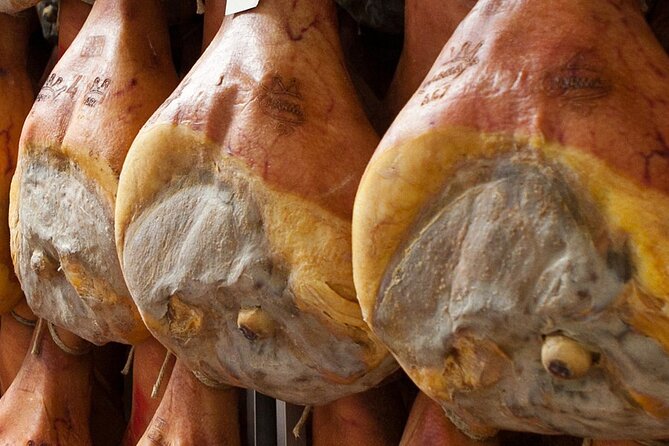 Tour at a Parma Ham Producer - Tasting and Wine Pairing