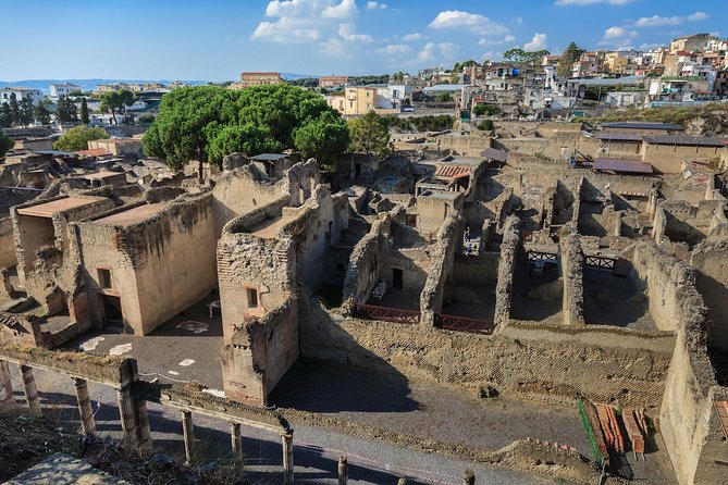 Tour of Herculaneum Skip the Line With Official Guide - Exploring the College of the Augustales