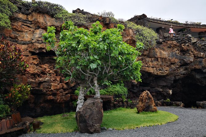 Tour of Jameos Del Agua Viewpoint and Valley of 1000 Palm Trees for Cruise Passengers - Jameos Del Agua Viewpoint