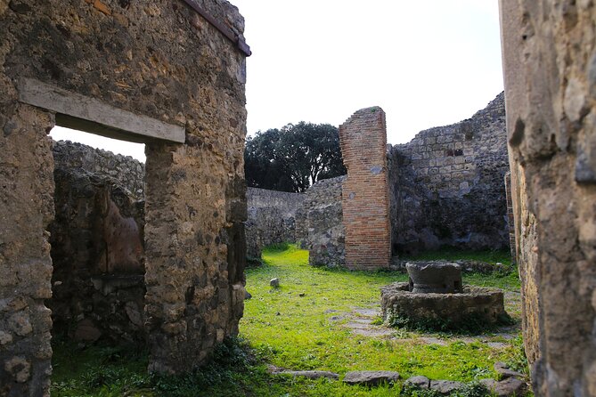Tour of Pompeii With Skip the Line Tickets & Exclusive Guide - Exploring the Pompeii Ruins