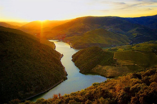 Tour Portugal 6 Days - Traveler Testimonials
