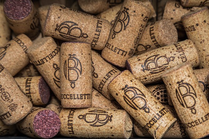 Tour & Tasting - The Sum Up