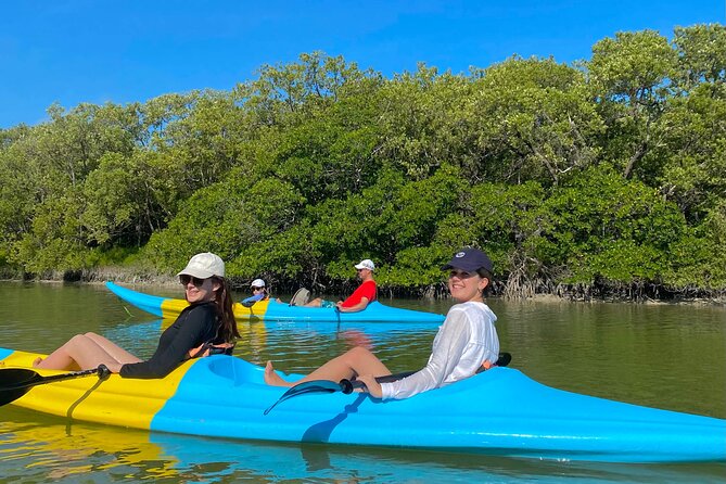 Tour the Mangroves in Kayak by Isla Holbox - Customer Ratings and Highlights