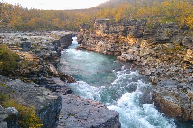 Tour to Abisko National Park - Since You Asked