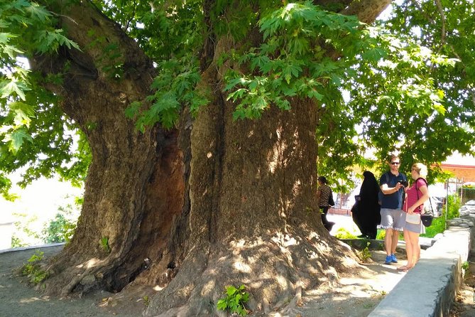 Tour to Kakheti. Sighnaghi – Bodbe Monastery – Tsinandali – Telavi – Winery – Gombori - Exploring Bodbe Monastery