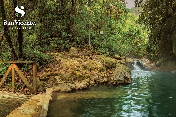 Tour to San Vicente Hot Springs From Pereira, Armenia or Salento - Exploring San Vicente Hot Springs
