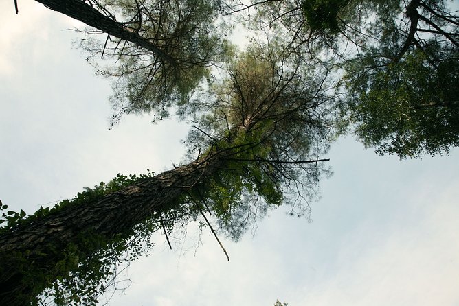 Tour TROODOS MOUNTAINS From Paphos - Meeting and Pickup Details