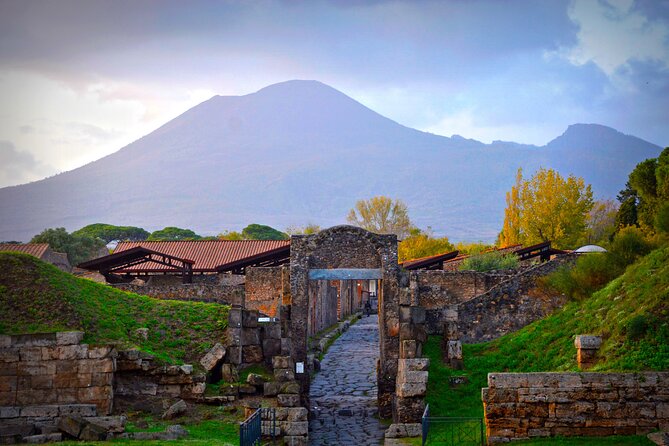 Touristic Highlights of Pompei on a Private Half Day Tour With a Local - Thermal Baths and Brothel