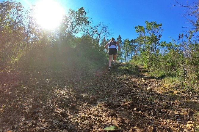 Trail Running in Coimbra - Best Trails for Trail Running in Coimbra