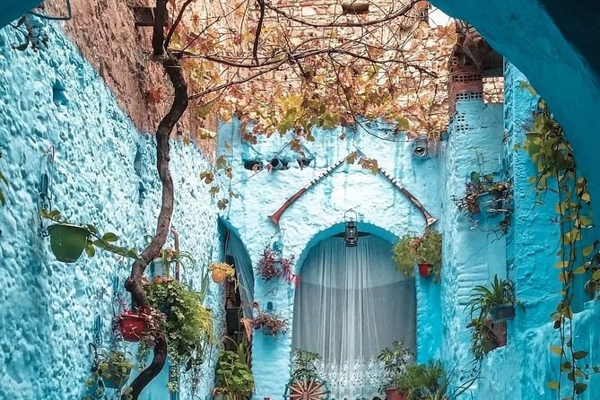 Transfers From Tangier to Chefchaouen Blue City - Customer Reviews and Ratings