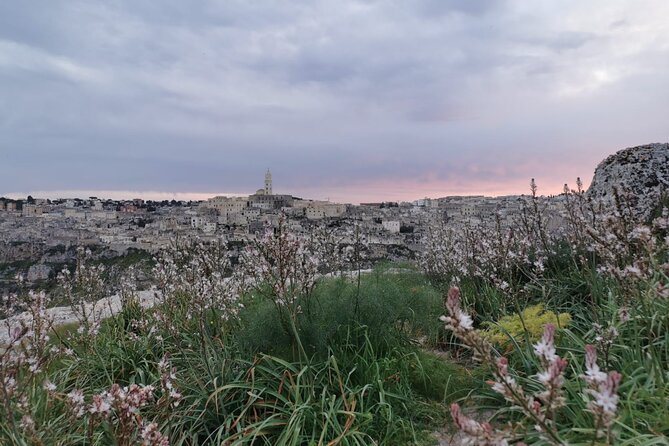 Trekking Towards Torrente Gravina and Rupestrian Churches of the Murgia - Customer Support and Inquiries
