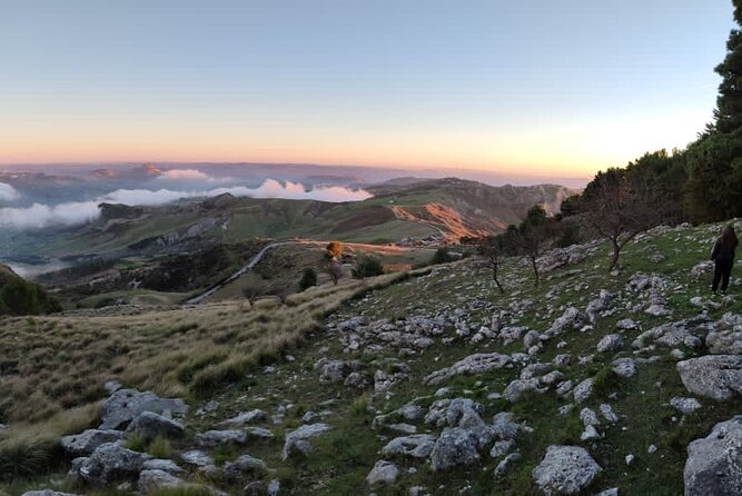 Truffle Hunting in the Sicani Mountains: a Unique Experience in Sicily - Truffle Tasting and Local Flavors