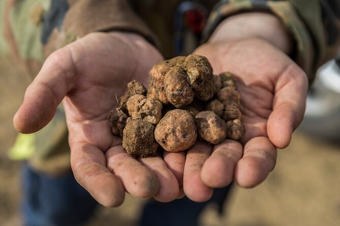 Truffle Hunting & Truffle Cooking Class - Understanding the Pricing and Inclusions