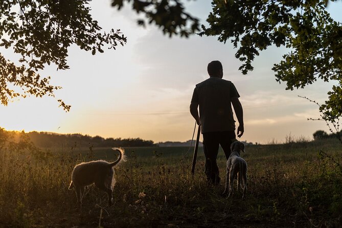 Truffle Lunch & Hunting Experience in San Gimignano - Exploring the Biodynamic Winery & Farm