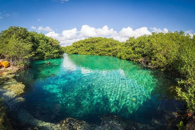 Tulum Area Experiences Guided 2 Tank Scuba Dive Casa Cenote & Barrier Reef-Lunch - Cenote and Barrier Reef Experiences