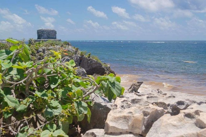 Tulum & Coba Private Tour - Reviews and Ratings