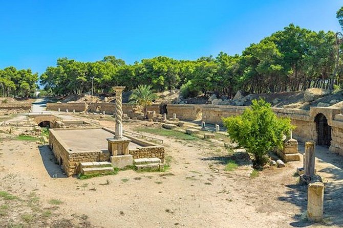 Tunis: Carthage, Bardo Museum, Sidi Bou Said and Medina Day Tour - Tour Operator Insights