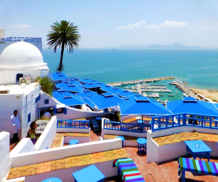 Tunis Governorate: Full-Day Tour - Carthage Ruins Exploration