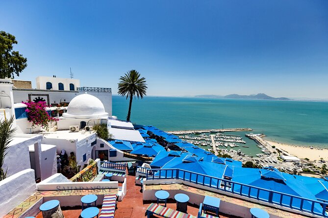 Tunis Group Tour: Carthage, Sidi Bou Said, Bardo Museum & Medina - Bardo Museum Closure