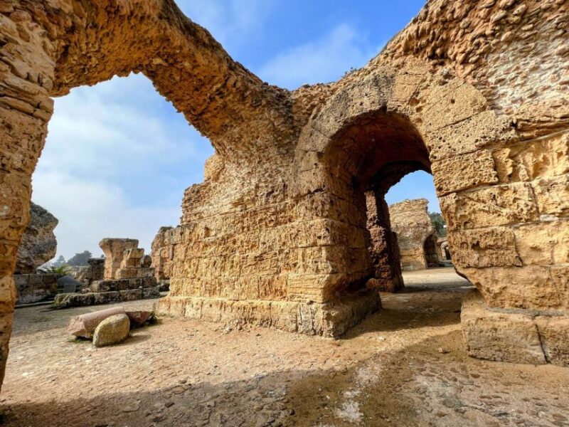 Tunis: Medina, Carthage, Sidi Bou Said, Bardo Private Tour - Traveler Reviews and Ratings