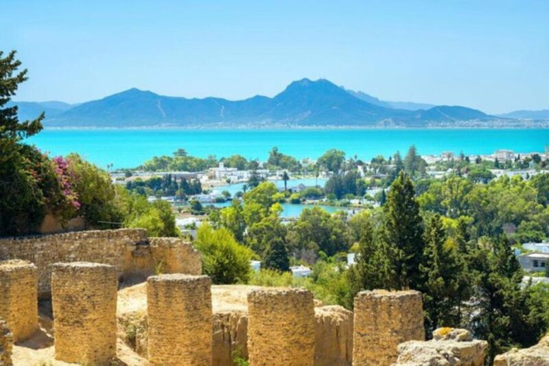 Tunis: Private Full-Day Tunis Highlights Tour - Tunis Old City