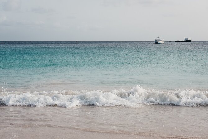 Turtle and Shipwreck Snorkel Private Tour in Barbados - Discovering Sunken Shipwrecks