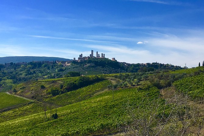 Tuscany and Wine Tasting Private Tour From Livorno - Cancellation Policy and Booking Details