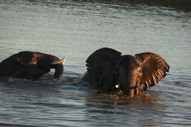 Two Days, One Night Tour: Blyde River to Kruger National Park - Inclusions and Pricing