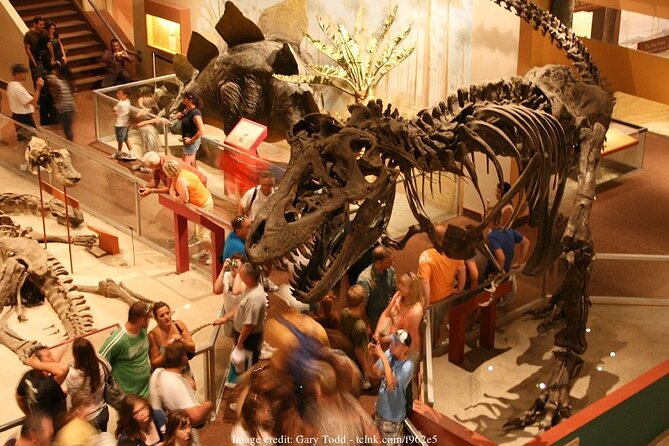 Two Smithsonian Museums: American & Natural History Private Tour - Transportation and Accessibility