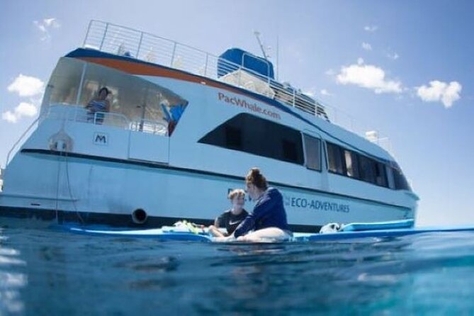 Two Stop Snorkel Adventure From Maui - What to Expect on the Trip